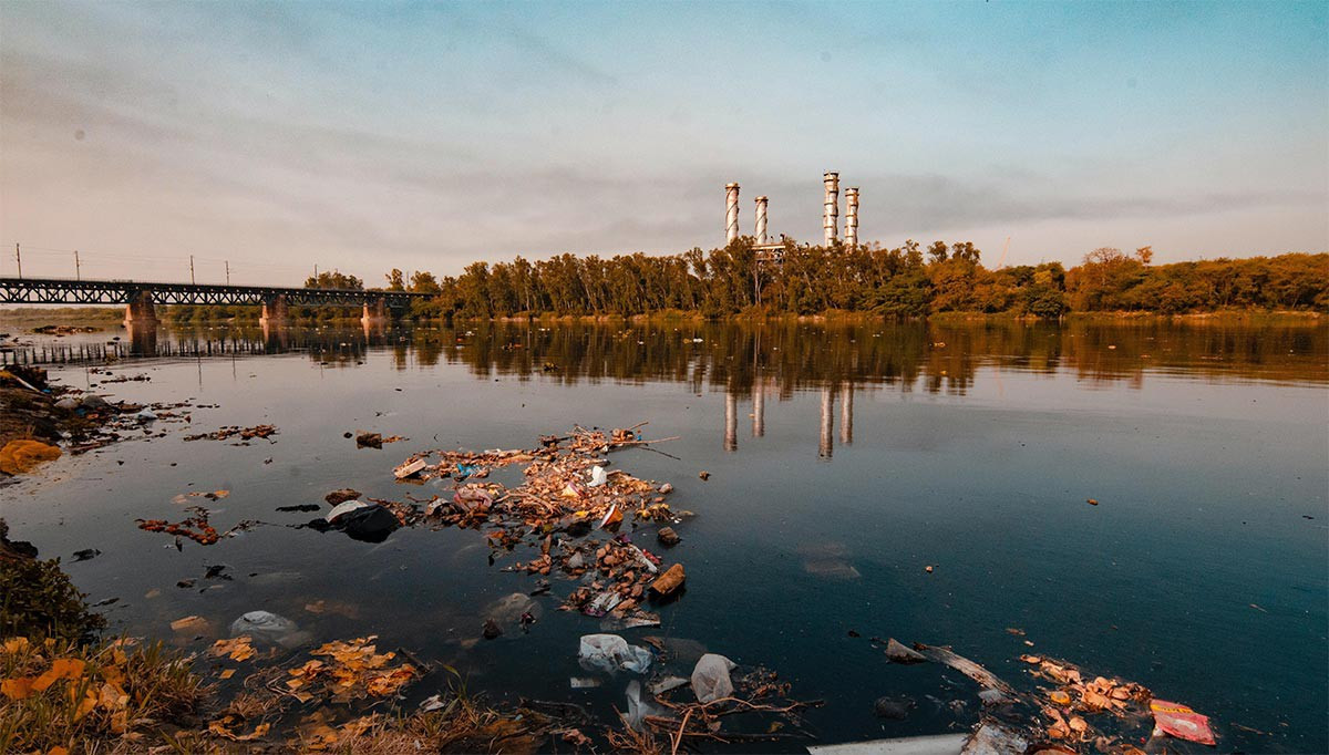 Effects Of Plastic Pollution On The Environment Effects Of Plastic Pollution On The Environment